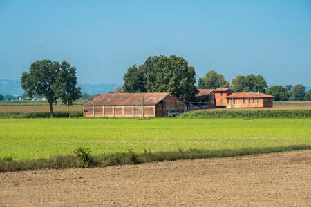 Rural landscape along the Po cycle path near Guardamiglio and San Rocco al Porto (Lodi, Lombardy, Italy) at summerのeditorial素材