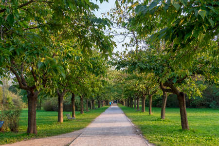Milan, Lombardy, Italy: the park known as Parco Nord at early autumn