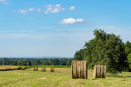 Country landscape at summer near Boves, Cuneo, Piedmont, Italy. Field with balesの写真素材