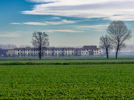 Rural landscape in the province of Lodi, Lombardy, Italy, at winter (December). A village.の写真素材