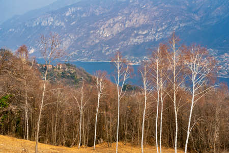 The Como lake seen from the Madonna del Ghisallo, Lecco, Lombardy, Italy, at winter (February)