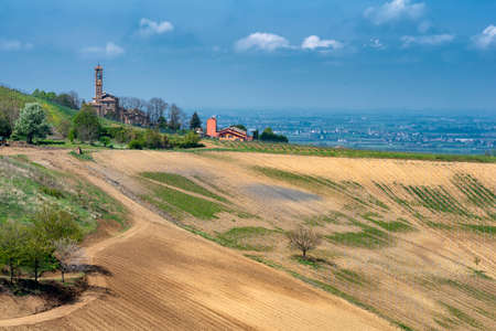 Oltrepo Pavese, Pavia, Lombardy, Italy: country landscape of the vineyards in springtime (April)の写真素材