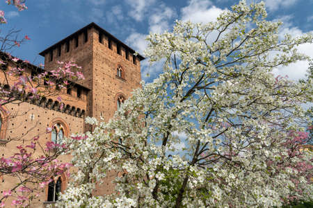 Pavia, Lombardy, Italy: the medieval castle known as Castello Visconteo at springtime (April) with flowered plantsのeditorial素材