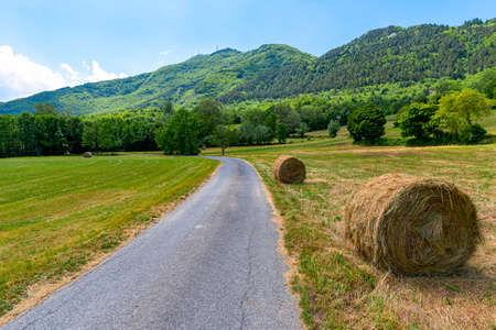 Passo del Penice, Pavia, Lombardy, Italy: mountaain landscape at late spring (June)の写真素材