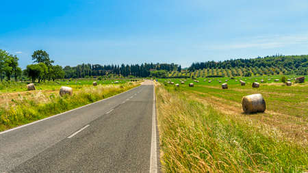 The road to Massa Marittima, Grosseto, Tuscany, Italy, at summer. Rural landscapeの写真素材