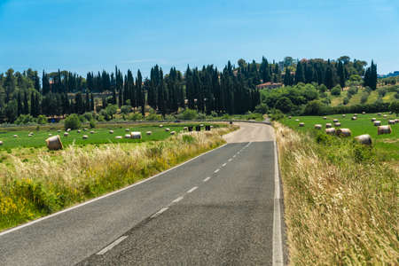 The road to Massa Marittima, Grosseto, Tuscany, Italy, at summer. Rural landscapeの写真素材