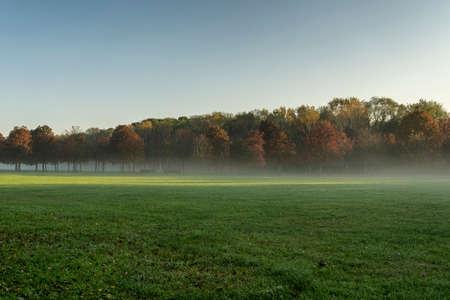 Milan, Lombardy, Italy: the park known as Parco Nord in a foggy morning of Octoberの写真素材