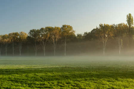 Milan, Lombardy, Italy: the park known as Parco Nord in a foggy morning of Octoberの写真素材