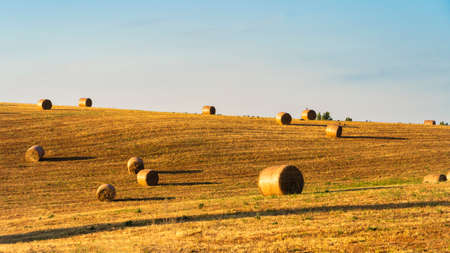Summer landscape along the road to Camigliatello Silano, Cosenza, Calabria, Italy, in the Sila natural park, at summerの写真素材