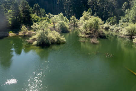 Summer landscape along the road to Camigliatello Silano, Cosenza, Calabria, Italy, in the Sila natural park, at summer. The Cecita lakeの写真素材