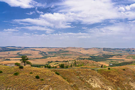 Rural landscape near Montescaglioso, Matera, Basilicata, Italy, at summer.