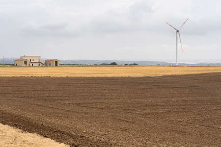 Rural landscape near Bernalda, Matera, Basilicata, Italy, at summer.
