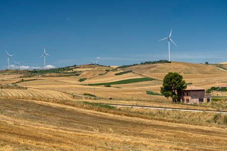 Rural landscape near Gravina di Puglia, Bari, Apulia, Southern Italy, at summer.の写真素材