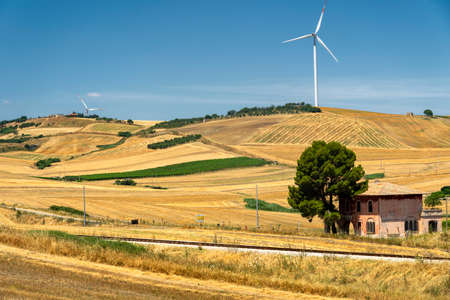 Rural landscape near Gravina di Puglia, Bari, Apulia, Southern Italy, at summer.の写真素材