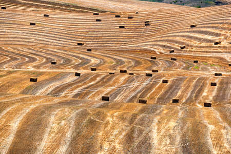 Rural landscape near Gravina di Puglia, Bari, Apulia, Southern Italy, at summer.