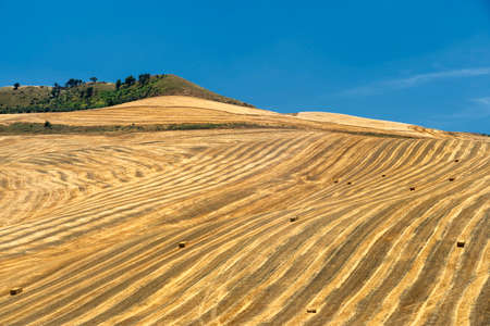 Rural landscape near Gravina di Puglia, Bari, Apulia, Southern Italy, at summer.の写真素材