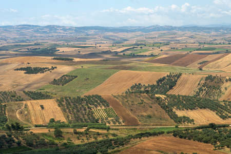Rural landscape from Serracapriola, Foggia, Apulia, Southern Italy, at summer