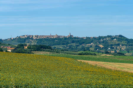 Rural landscape at summer near Treia, Macerata, Marches, Italyの写真素材