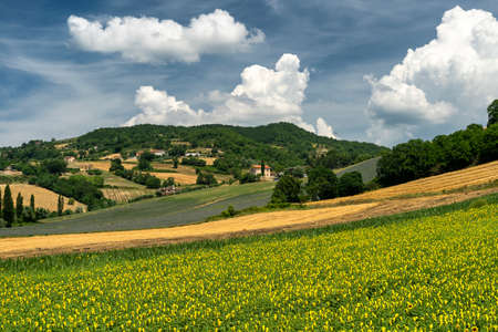 Rural landscape at summer near Gubbio, Perugia, Umbria, Italy