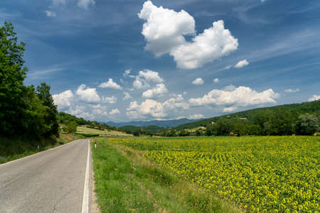 Summer landscape near Lippiano, Perugia, Umbria, Italy