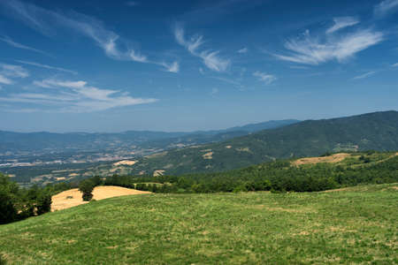 Summer landscape along the road to La Verna, Arezzo, Tuscany, Italyの写真素材