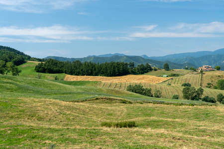 Summer landscape near Bagno di Romagna, Forli Cesena, Italyの写真素材