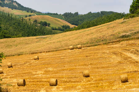 Summer landscape near Bagno di Romagna, Forli Cesena, Italy