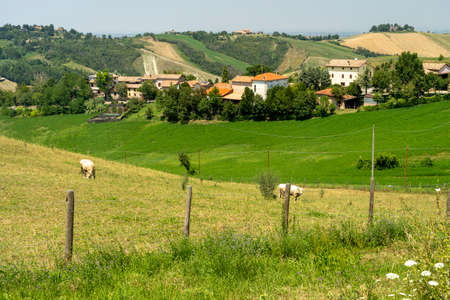 Country landscape at summer at Rivalta di Lesignano Bagni, Parma, Emilia-Romagna, Italy