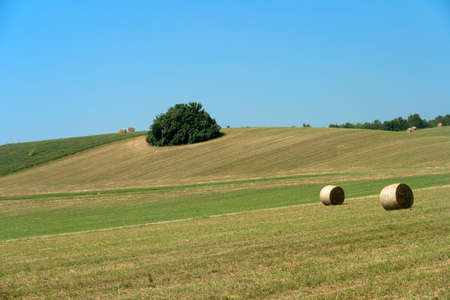Rural landscape near Medesano, in Parma province, Emilia-Romagna, Italy, at summer