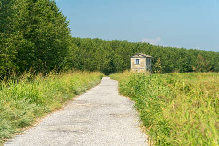 Summer landscape along the cycle path of the Po river, iin the Lodi province, Lombardy, Italyのeditorial素材
