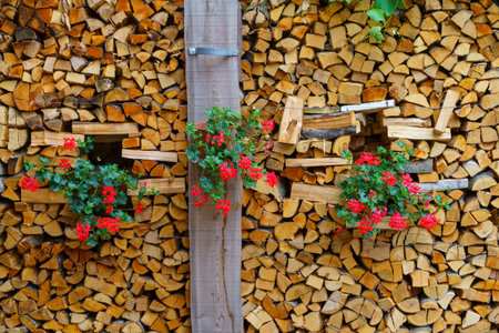 Glorenza, or Glurns, Bolzano, Trentino Alto Adige, Italy: historic city in the Venosta valley .. Old houseの写真素材