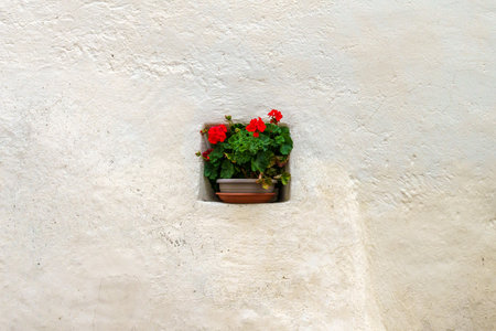 Glorenza, or Glurns, Bolzano, Trentino Alto Adige, Italy: historic city in the Venosta valley. White...