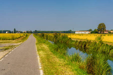 Rural landscape along the cycleway of the canal of Bereguardo, from Bereguardo to Abbiategrasso, at summerの写真素材