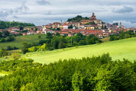 Rural landscape in Monferrato, Site, near Calliano, Asti province, Piedmont, Italy. Vineyards