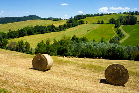 Country landscape near Sala Baganza and Fornovo, Parma province, Emilia-Romagna, Italy, at...
