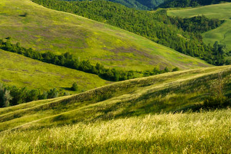 Country landscape on the hills near Bologna, Emilia-Romagna, Italy, at springtime