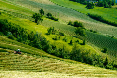 Country landscape along the road from Sassuolo to Serramazzoni, Modena province, Emilia-Romagna, Italy, at springtimeの写真素材