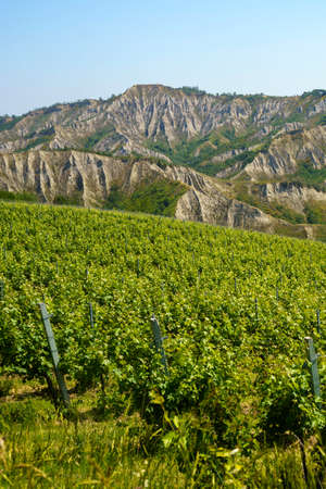 Country landscape on the hills in the Bologna province, Emilia-Romagna, Italy, near Imola and Riolo...