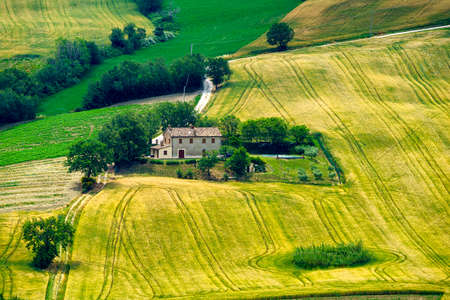 Country landscape at springtime along the road from Fano to Mondavio, Pesaro e Urbino province,...