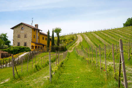 Rural landscape in Monferrato, Unesco World Heritage Site. Vineyard near Gavi, Alessandria province, Piedmont, italyのeditorial素材