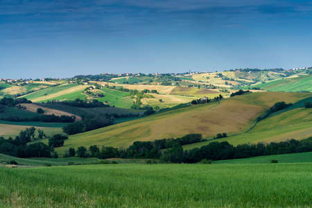 Country landscape along the road from Ostra Vetere to Cingoli, Ancona province, Marche, Italy, at springtimeの写真素材