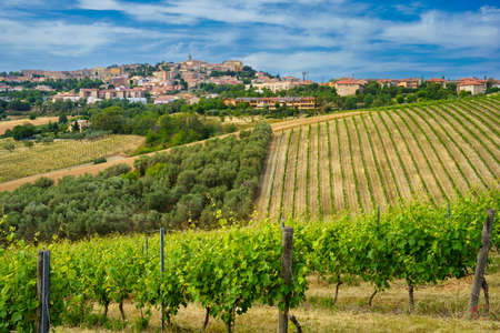 View of Camerano, Ancona province, Marche, Italy and vineyards at springtimeの写真素材