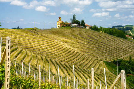 Rural landscape at springtime in Langhe near Dogliani, Cuneo province, Piedmont, Italy, Unesco World Heritage Site.のeditorial素材