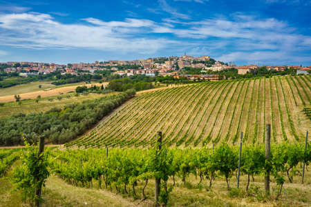 View of Camerano, Ancona province, Marche, Italy and vineyards at springtimeの写真素材