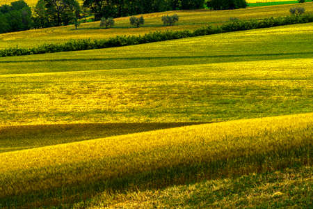 Country landscape along the road from Cingoli to Appignano, Ancona province, Marche, Italy, at springtimeの写真素材
