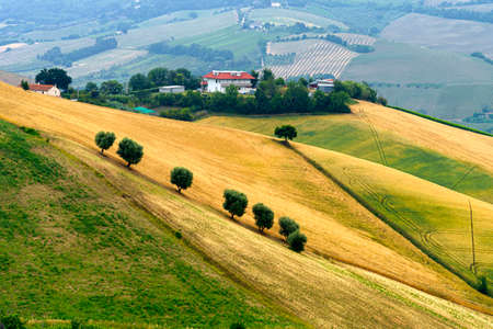 Rural landscape near Ripatransone, in Ascoli Piceno province, Marche, Italy, at springtimeの写真素材