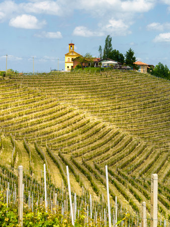 Rural landscape at springtime in Langhe near Dogliani, Cuneo province, Piedmont, Italy, Unesco World Heritage Site.のeditorial素材