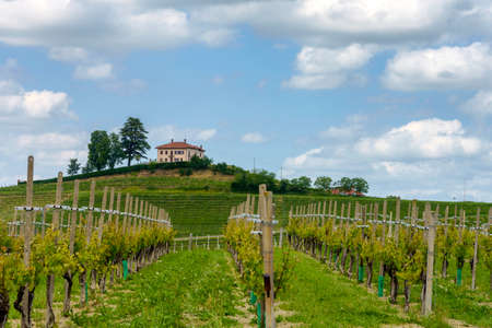 Rural landscape at springtime in Langhe near Dogliani, Cuneo province, Piedmont, Italy, Unesco World Heritage Site.のeditorial素材