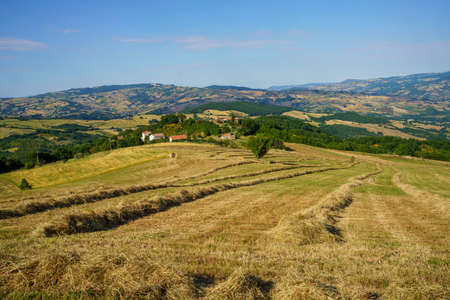 Landscape in Sannio, Molise, near Torella, Isernia province, at June