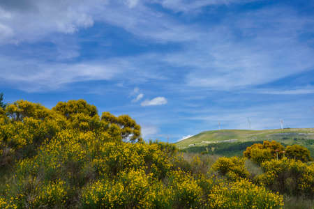 Landscape in Molise near Macchiagodena and Sant Angelo in Grotte, Isernia province, at Juneの写真素材